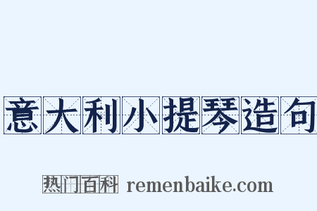 意大利小提琴造句是什么意思的图片